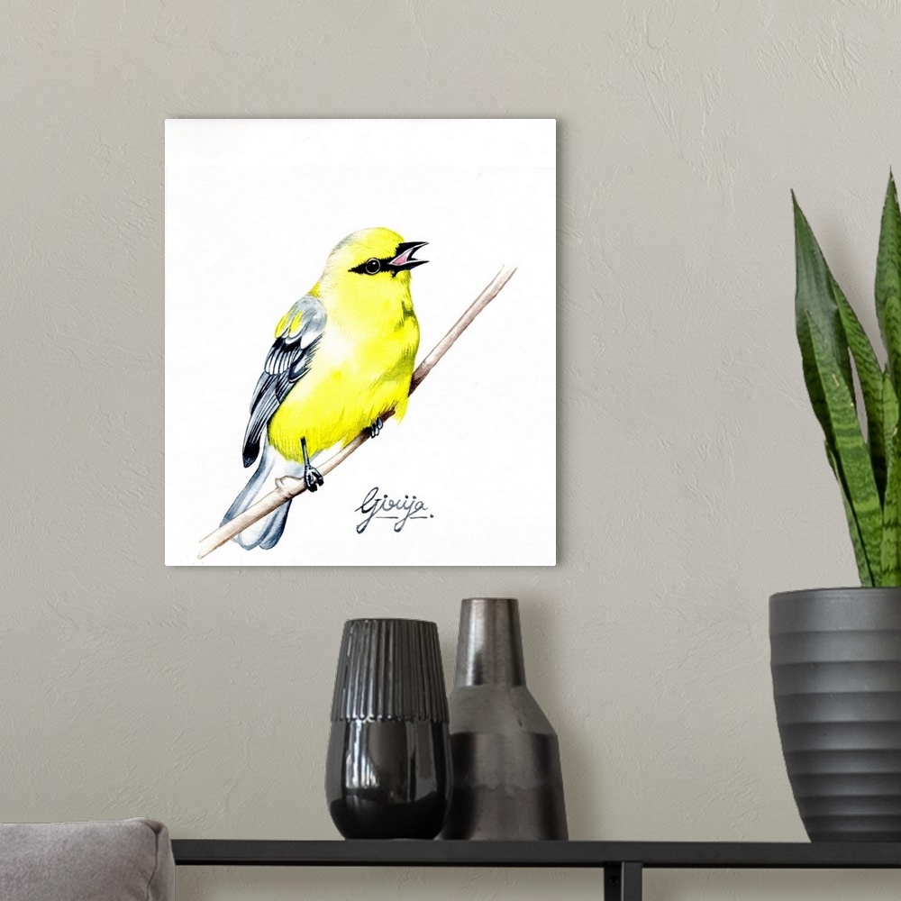 A modern room featuring The American goldfinch is a small north American bird in the finch family. This bright yellow col...