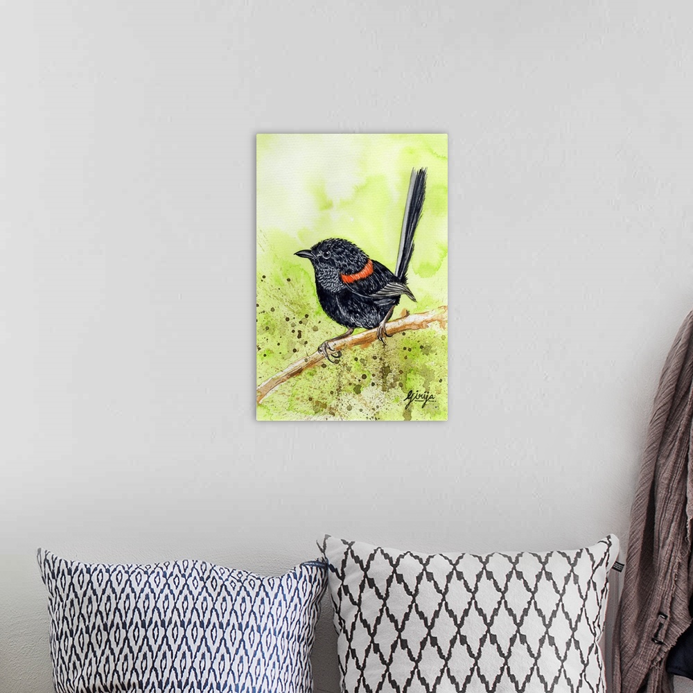 A bohemian room featuring This little black bird with red feathers around the neck is red backed fairy wren bird painted in...