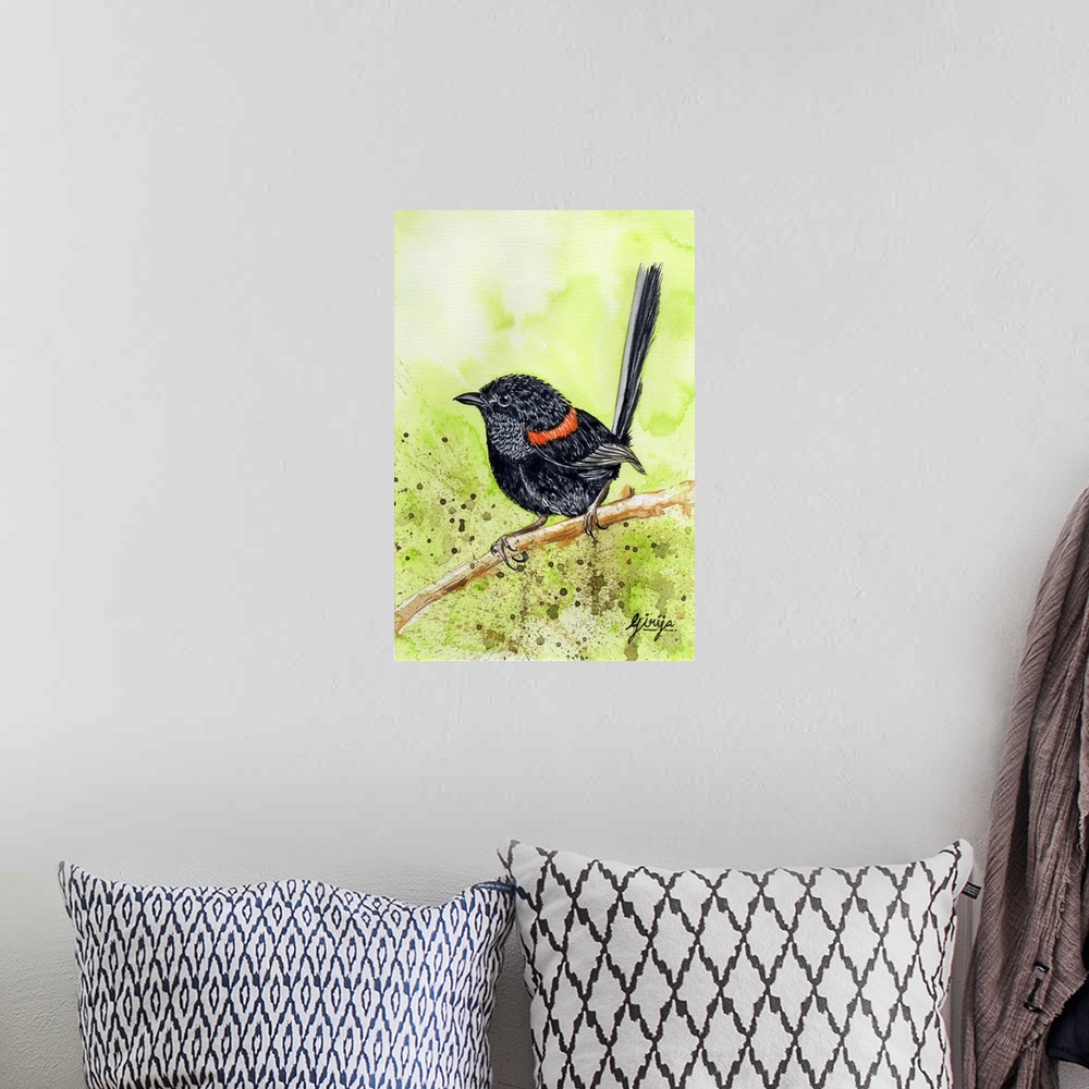 A bohemian room featuring This little black bird with red feathers around the neck is red backed fairy wren bird painted in...