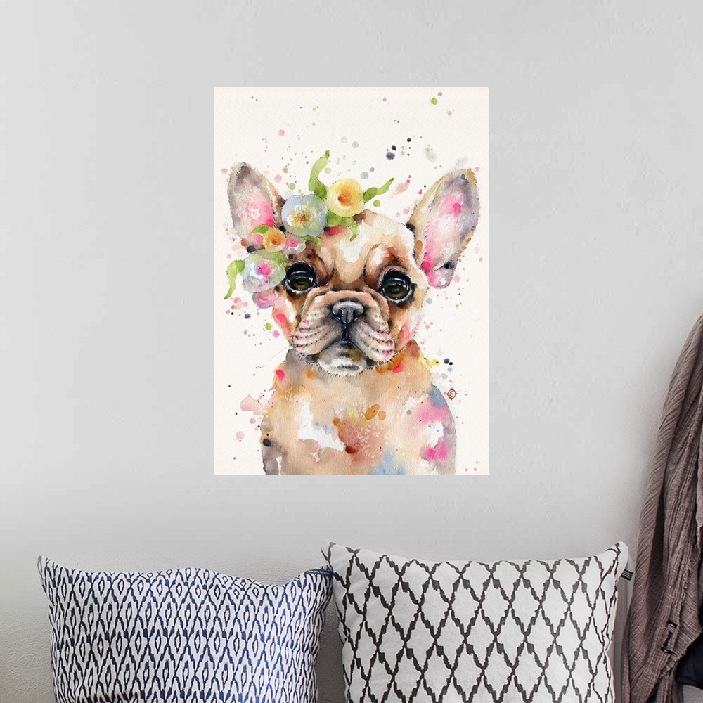 A bohemian room featuring Little Miss Frenchie