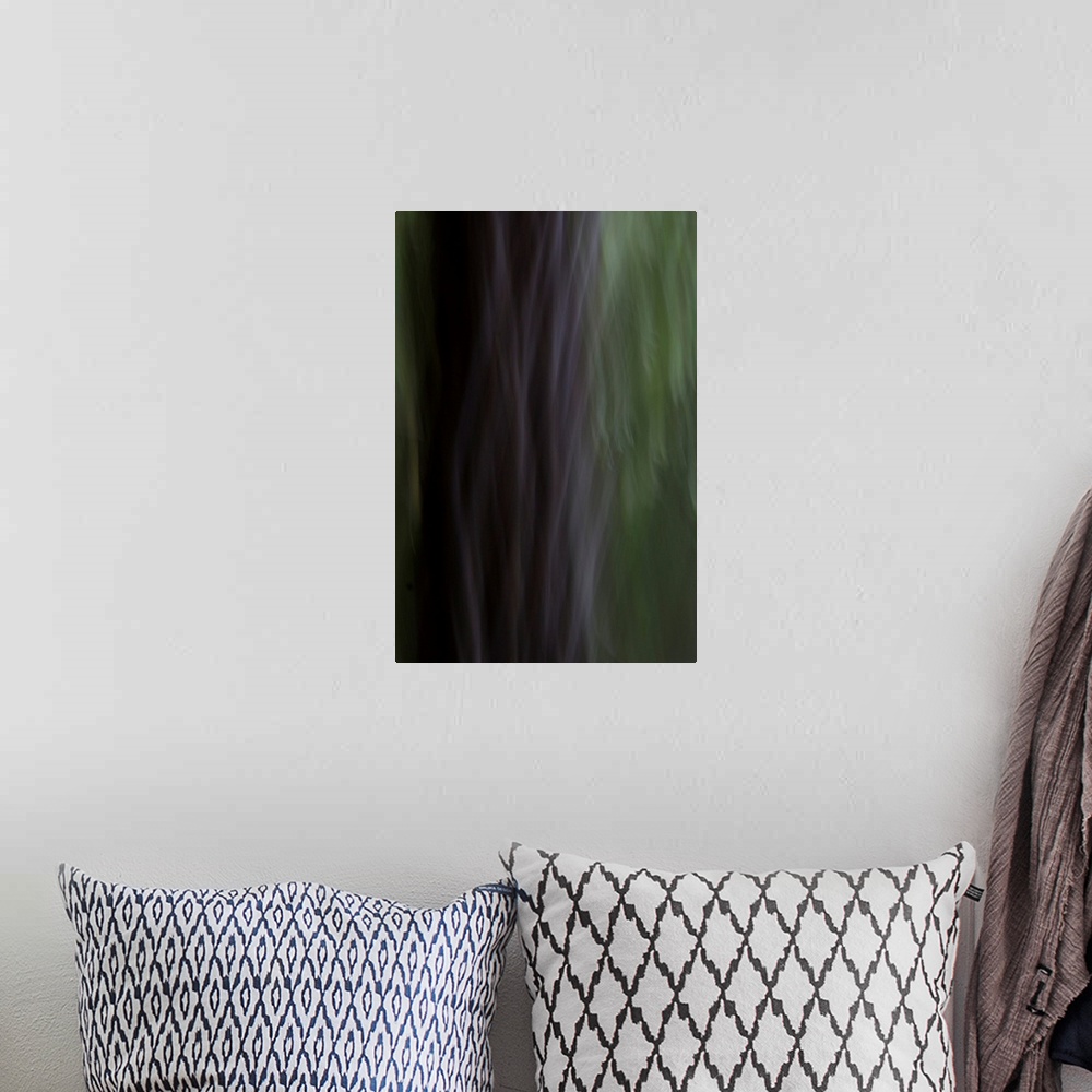 A bohemian room featuring Impressionist photograph of trees