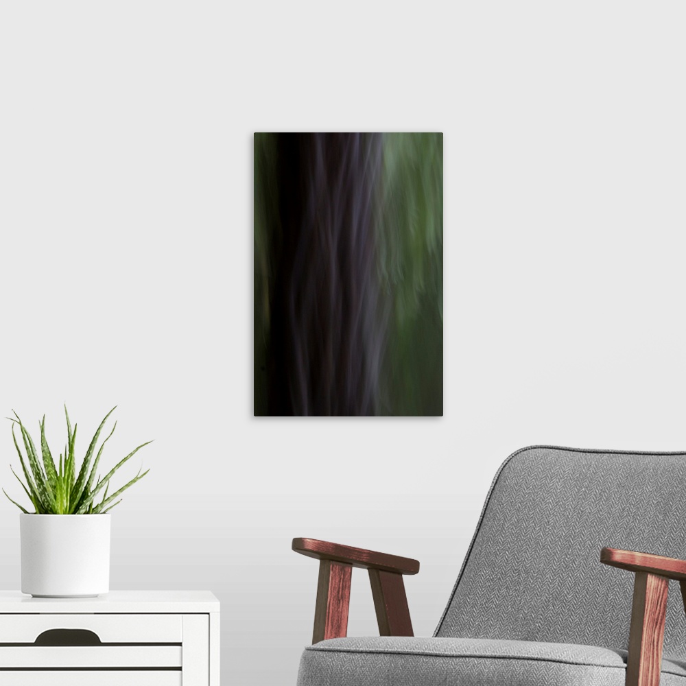 A modern room featuring Impressionist photograph of trees