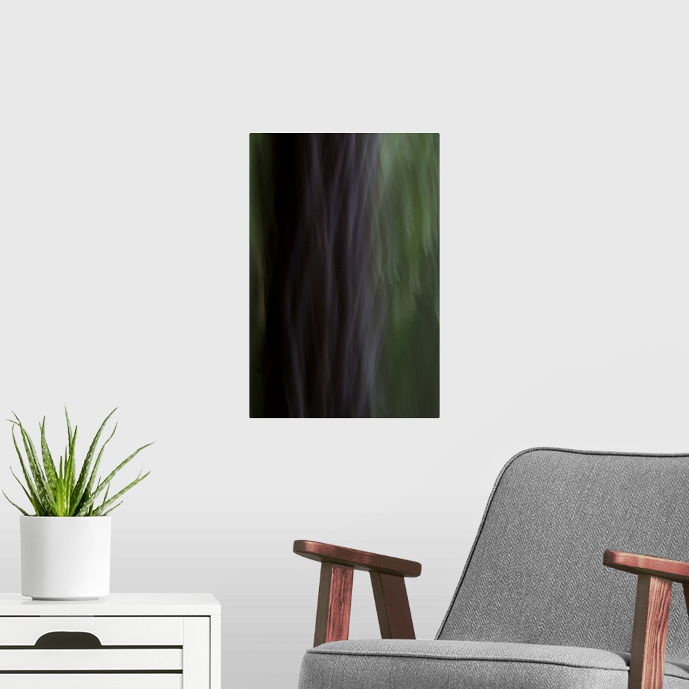 A modern room featuring Impressionist photograph of trees