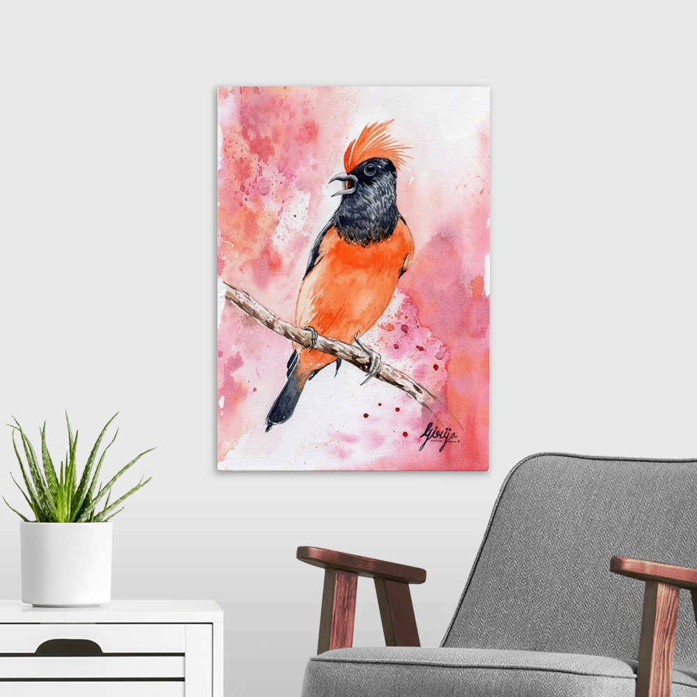 A modern room featuring Orange is the color most easily seen in dim light; this bright orange bird is painted in watercol...
