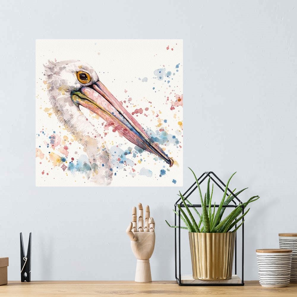 A bohemian room featuring Pelicans About