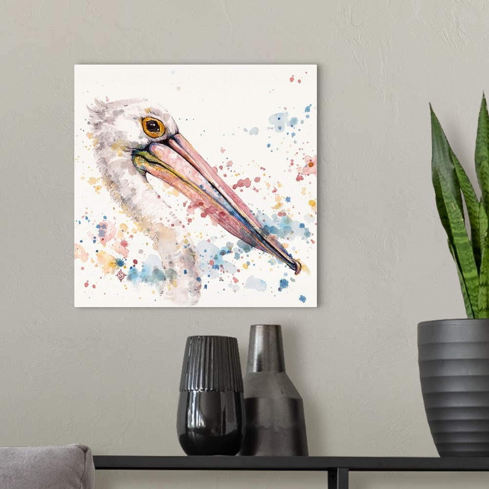 A modern room featuring Pelicans About