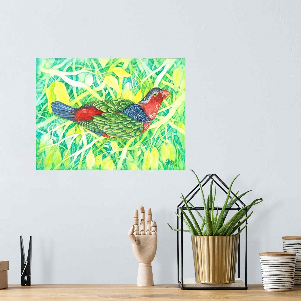 A bohemian room featuring The australian king parrot has a red, blue, green, gray, yellow like rainbow colors, painted in w...