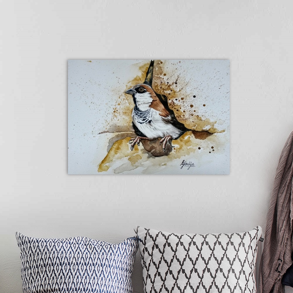 A bohemian room featuring The house sparrow is a very common bird, found in most parts of the world. Electromagnetic radiat...