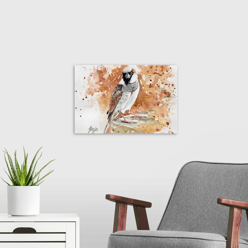 A modern room featuring The house sparrow is a very common bird, found in most parts of the world. Electromagnetic radiat...