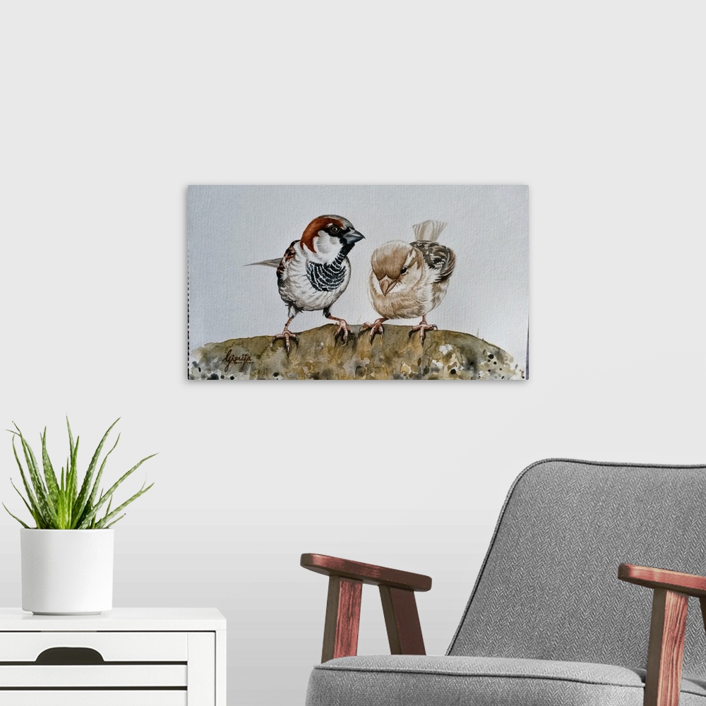 A modern room featuring The house sparrow is a very common bird, found in most parts of the world. Electromagnetic radiat...