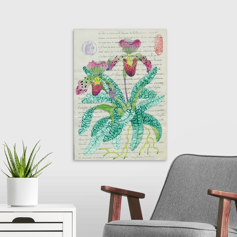 A modern room featuring A study of slipper orchids painted on a fragment of French legal documentation from the 1800s.