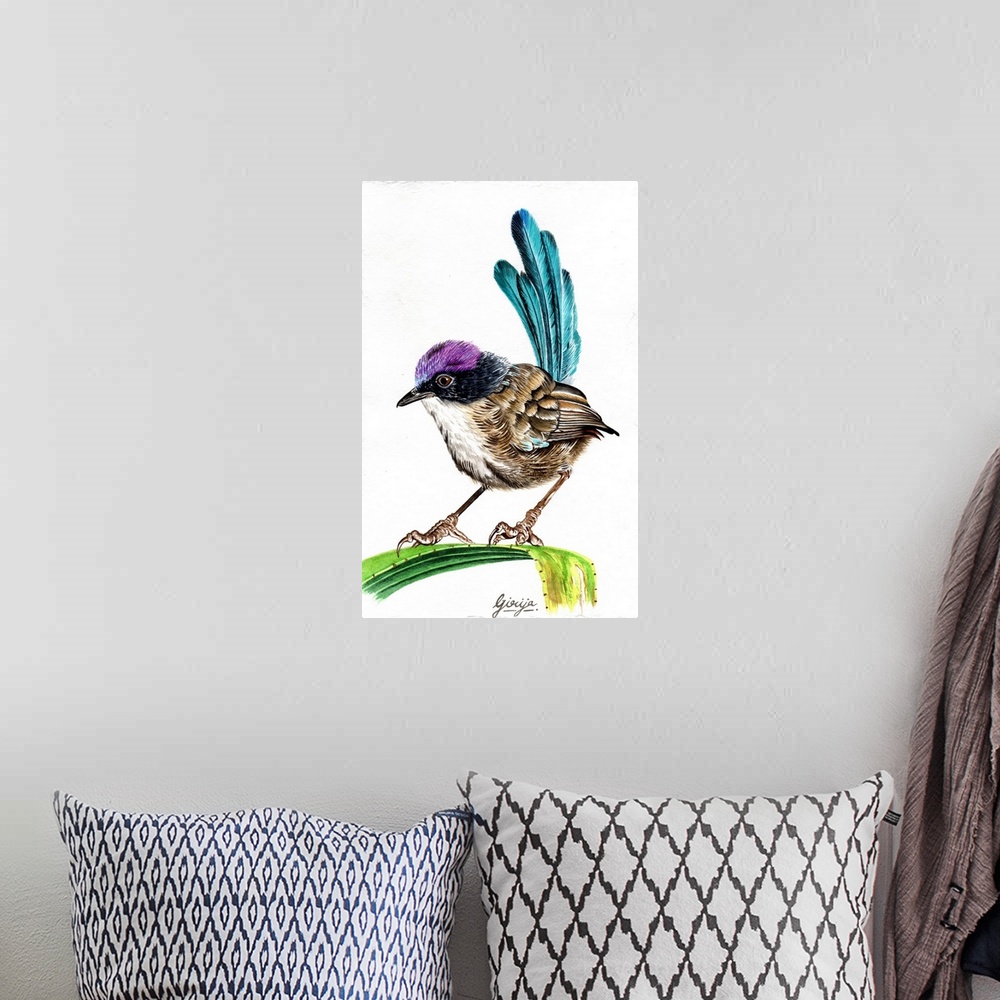 A bohemian room featuring The purple-crowned fairywren is a species of bird in the Australasian wren family, during the bre...