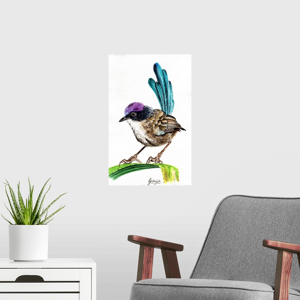 A modern room featuring The purple-crowned fairywren is a species of bird in the Australasian wren family, during the bre...