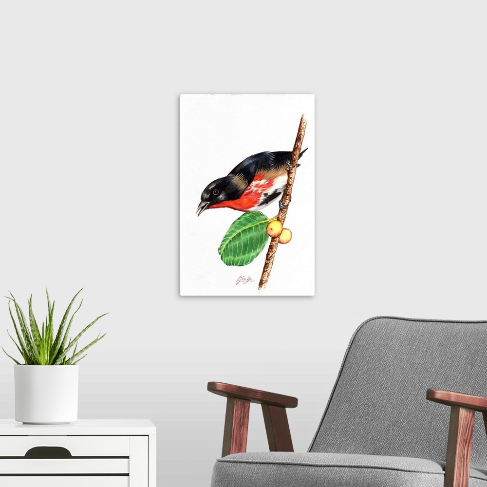 A modern room featuring This vibrant scarlet chested bird is painted in watercolor on paper.