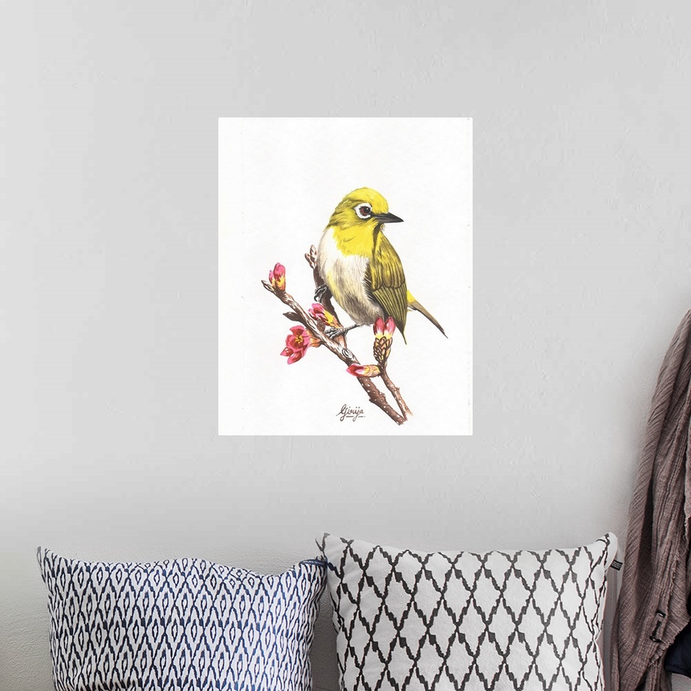 A bohemian room featuring The pine warbler is a small songbird of the new world warbler family. This small yellow bird is p...