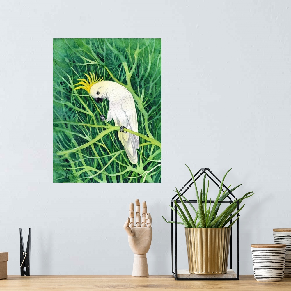 A bohemian room featuring The sulphur-crested cockatoo is a relatively large white cockatoo found in wooded habitats in Aus...
