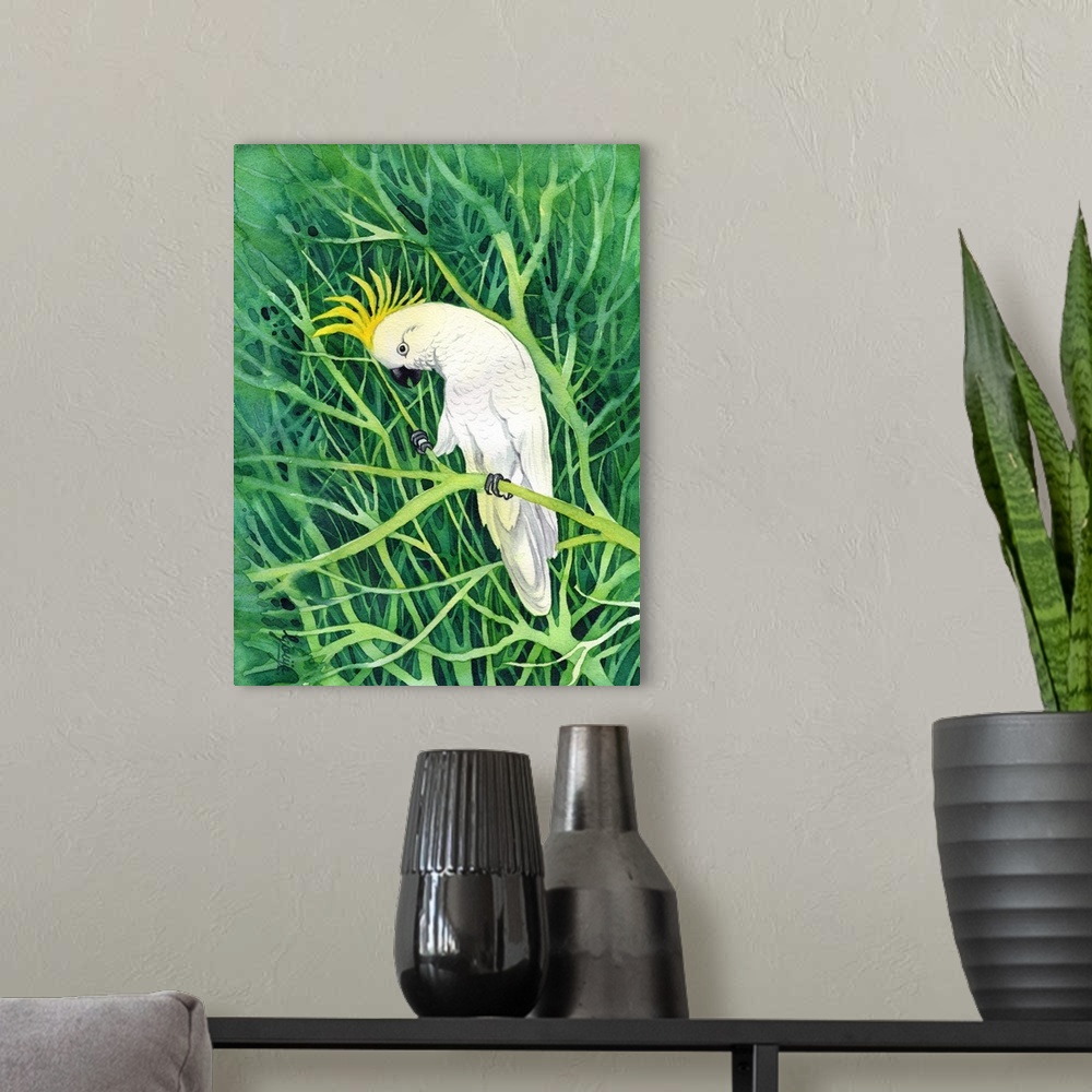 A modern room featuring The sulphur-crested cockatoo is a relatively large white cockatoo found in wooded habitats in Aus...