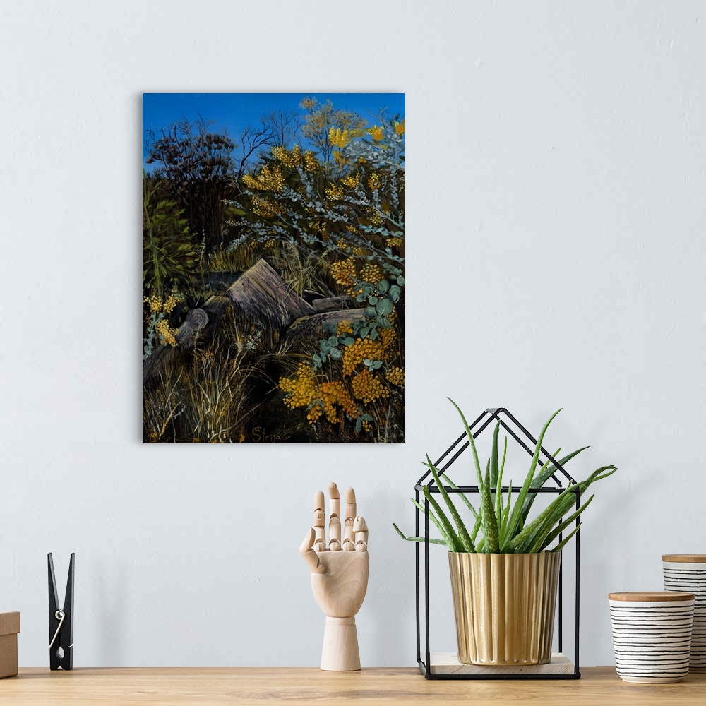 A bohemian room featuring Painting of a wattle tree with fluffy clusters of amber flowers that stand out in the wild landsc...
