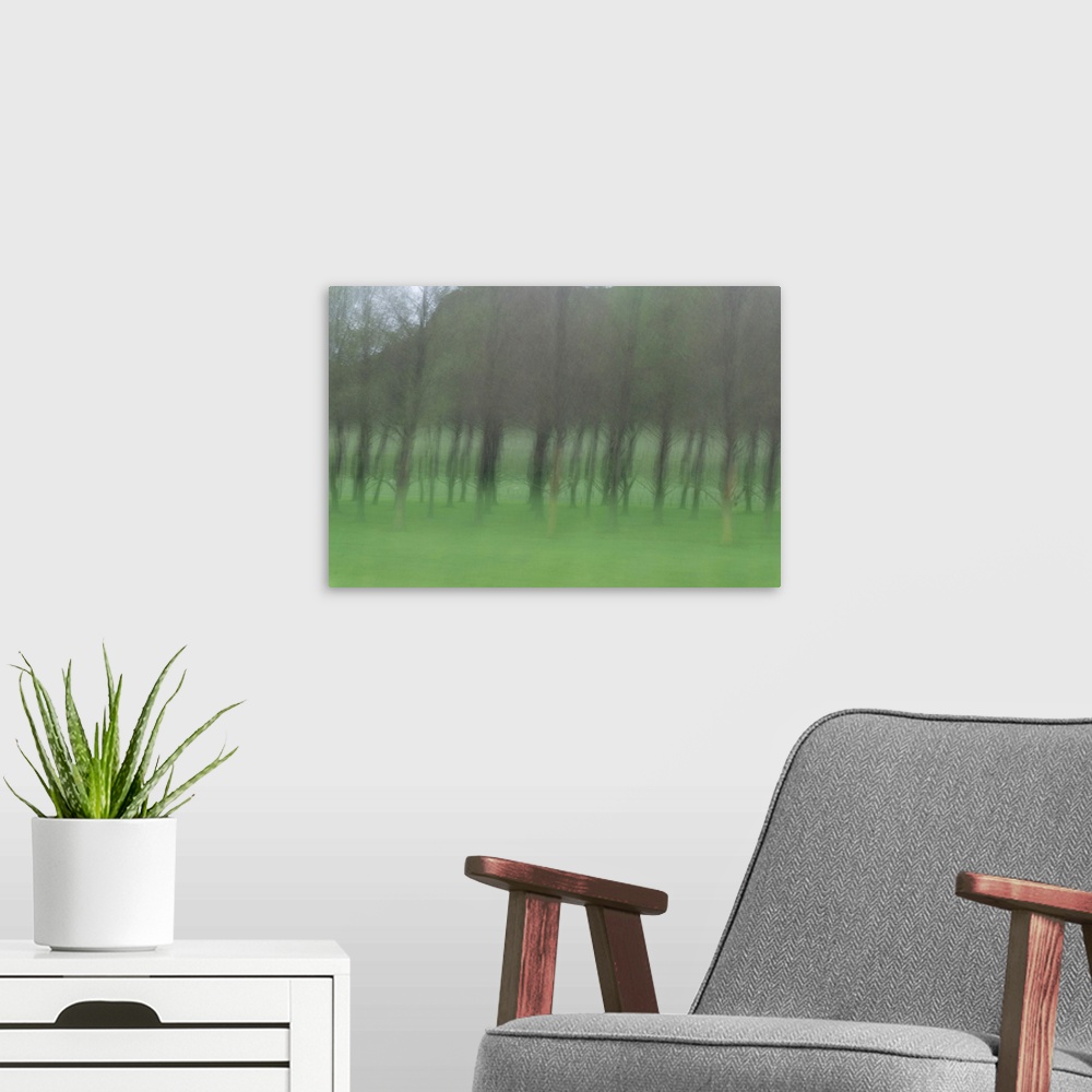 A modern room featuring Naturalistic, rustic, atmospheric photograph that capture a feeling or spirit of the vineyard wit...