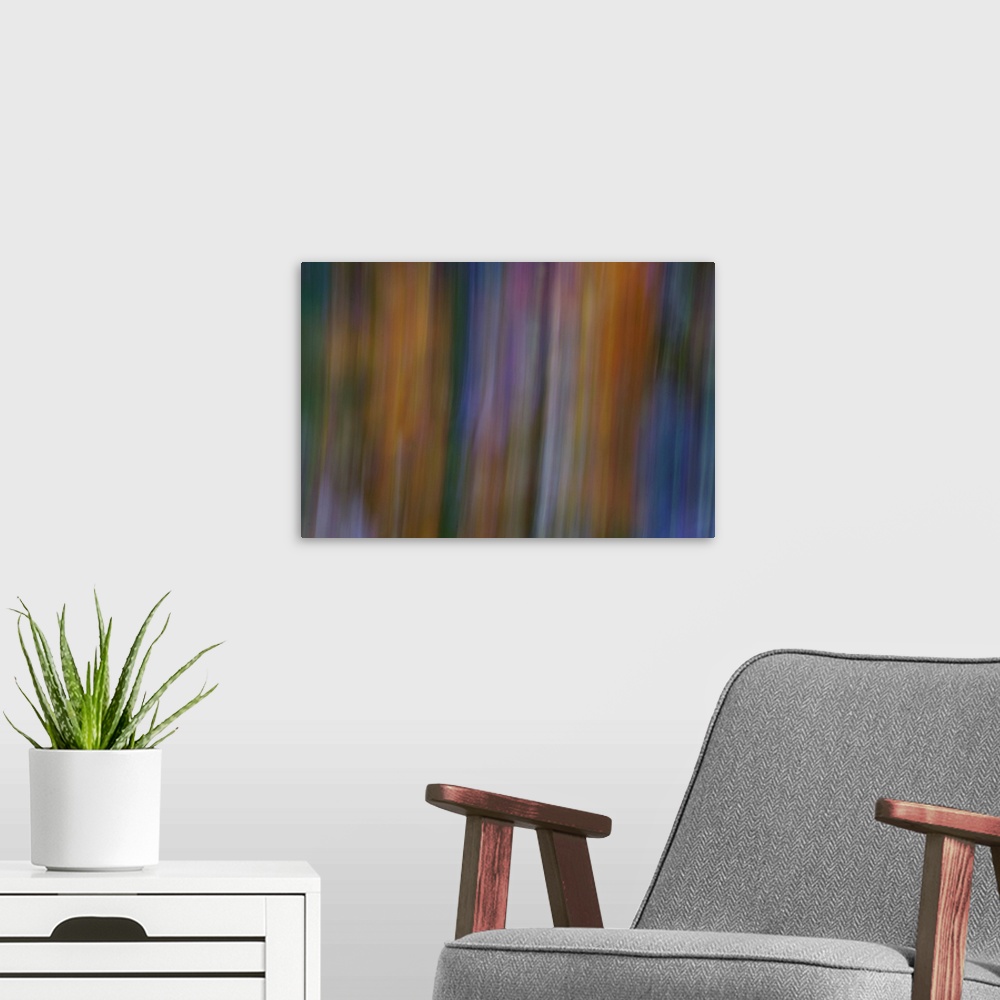 A modern room featuring Impressionist photograph of a flower garden.