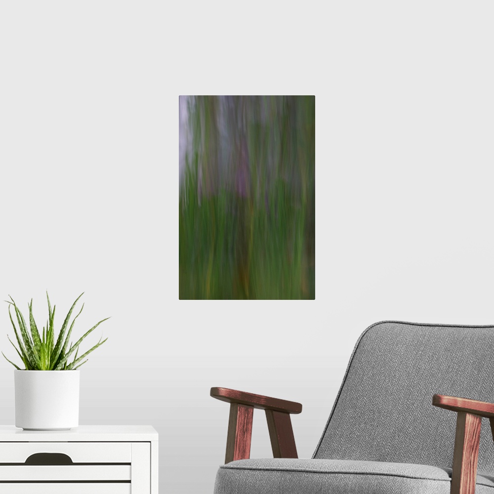 A modern room featuring Impressionist photograph of a tree.