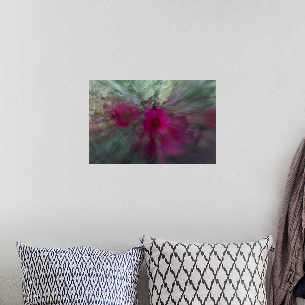 A bohemian room featuring Impressionist photograph of a flower with special effects.