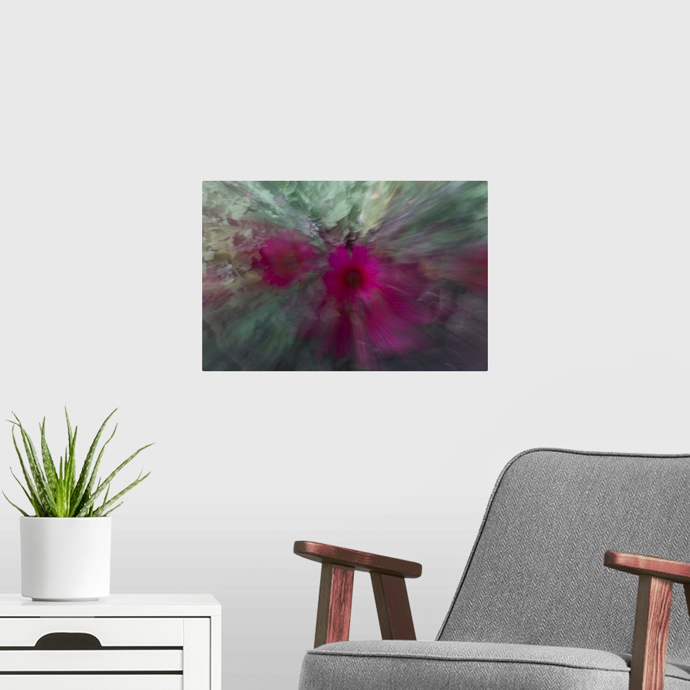 A modern room featuring Impressionist photograph of a flower with special effects.