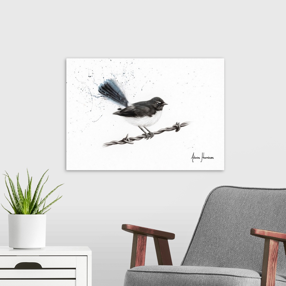 A modern room featuring Centenary Willy Wagtail