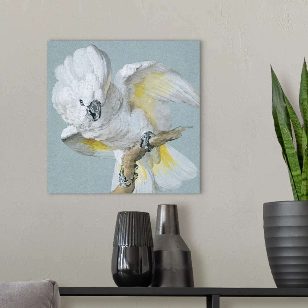 A modern room featuring A Great White Crested Cockatoo