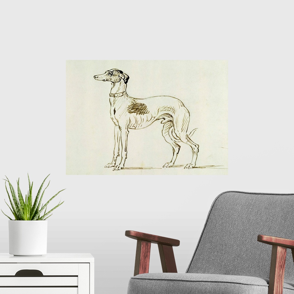 A modern room featuring A Greyhound, Facing Left