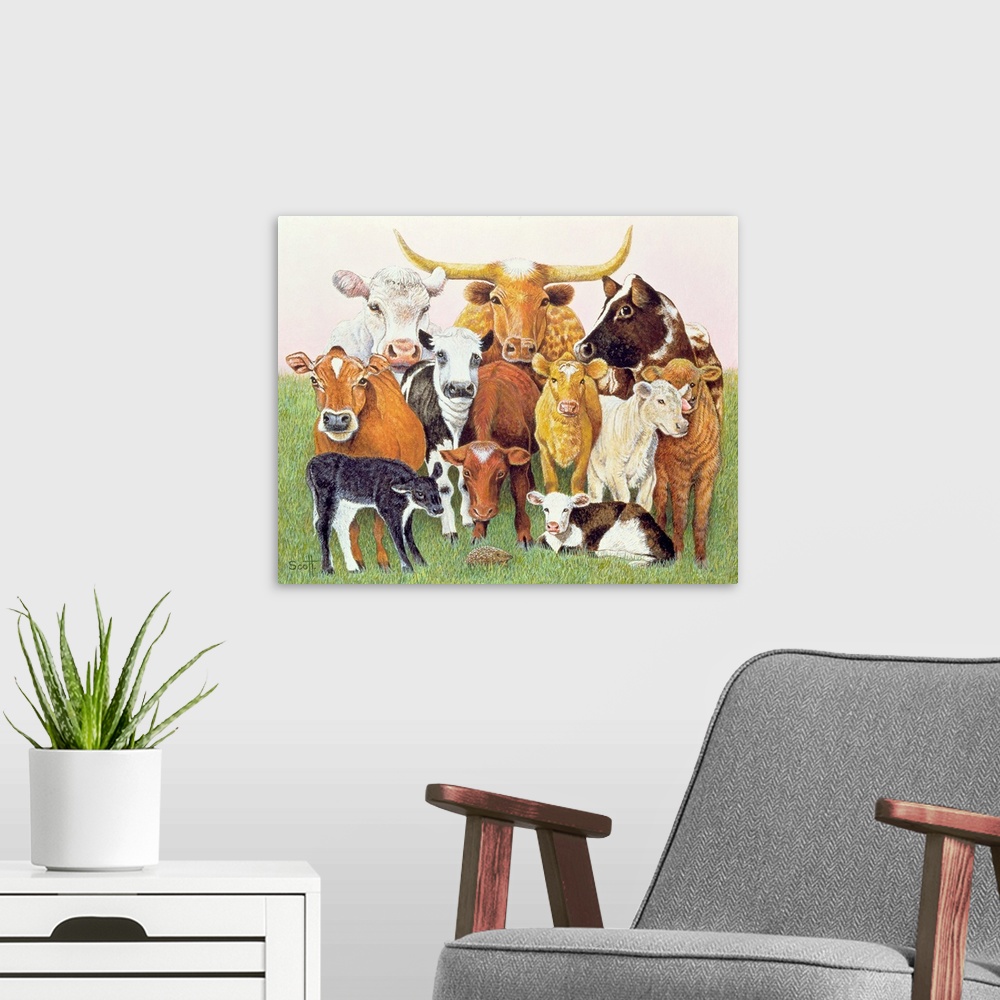 A modern room featuring Contemporary painting of several breeds of cattle.