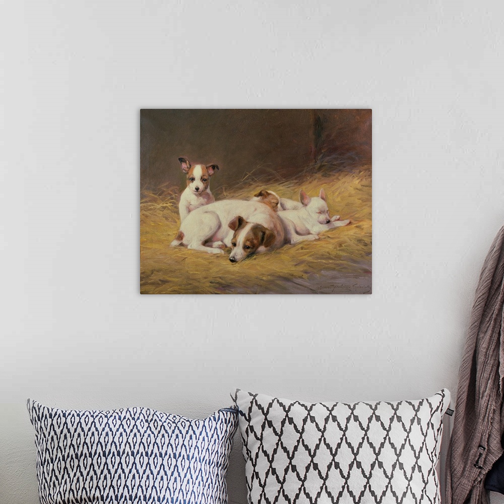 A bohemian room featuring A Terrier with Three Puppies