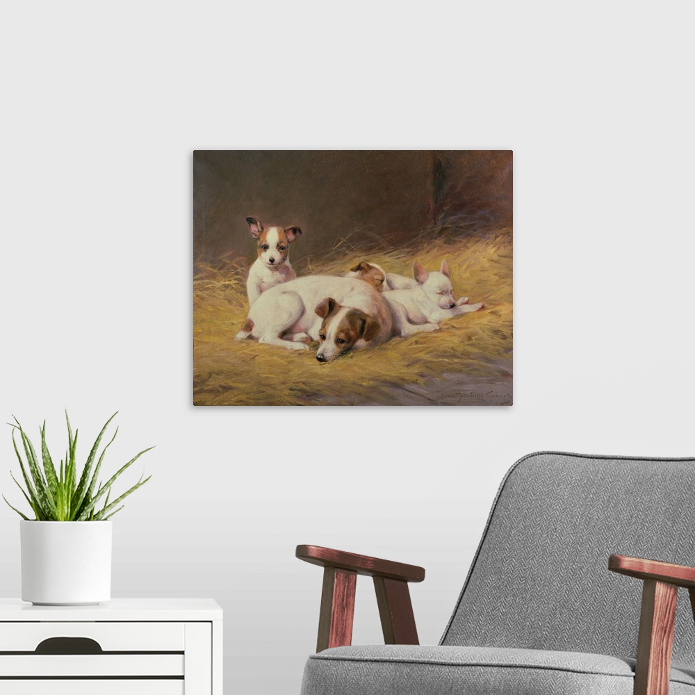 A modern room featuring A Terrier with Three Puppies