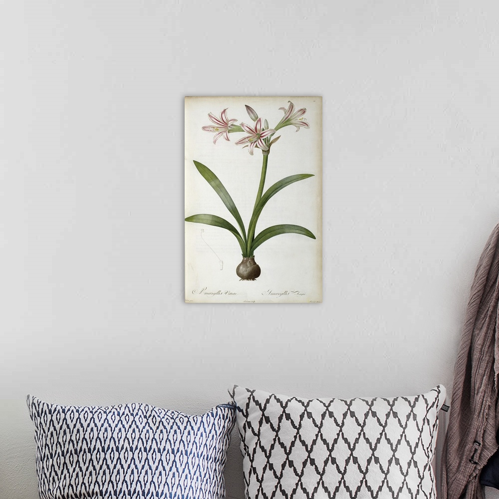 A bohemian room featuring Giant, vertical floral home art docor of a large lily plant with several open blooms, four large ...