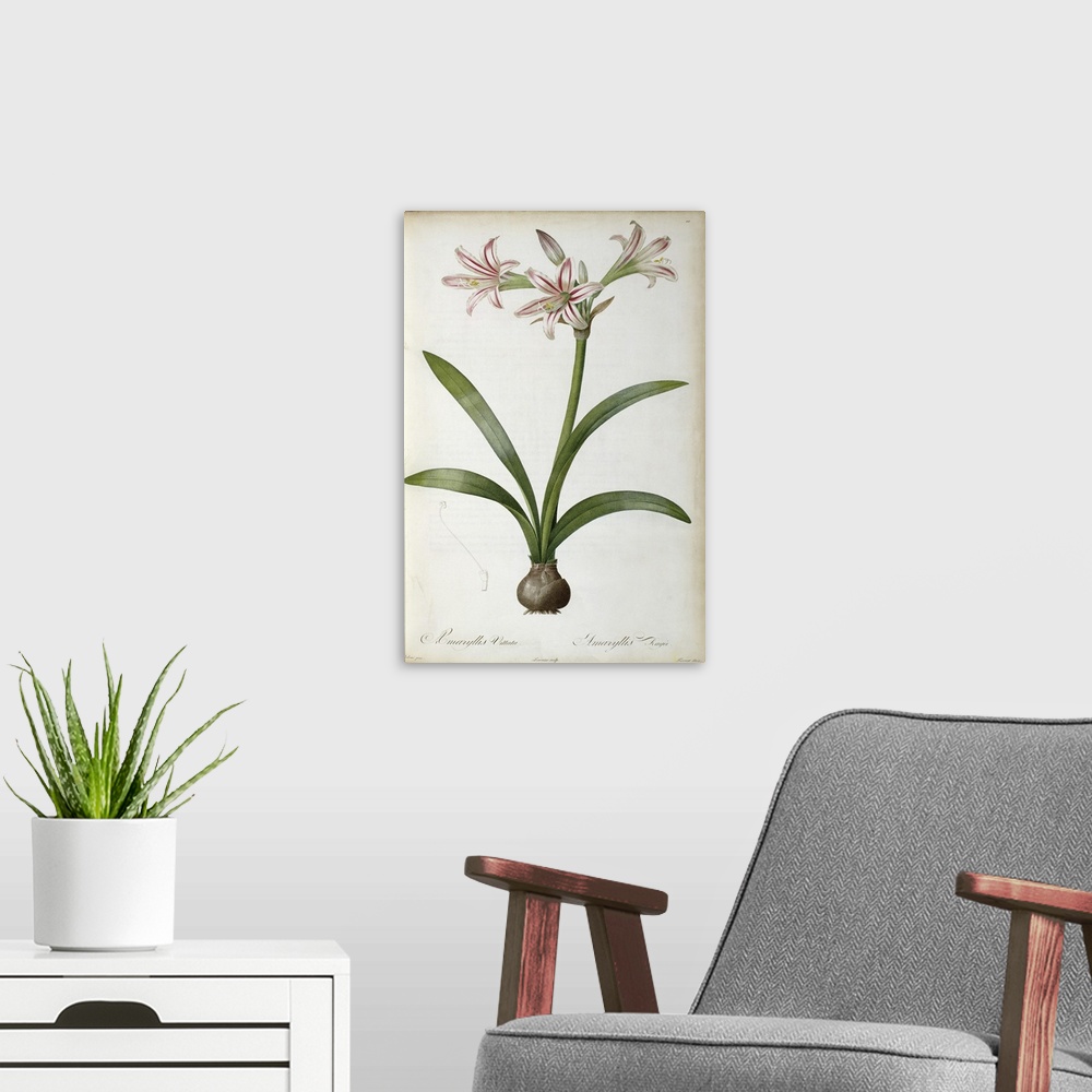 A modern room featuring Giant, vertical floral home art docor of a large lily plant with several open blooms, four large ...