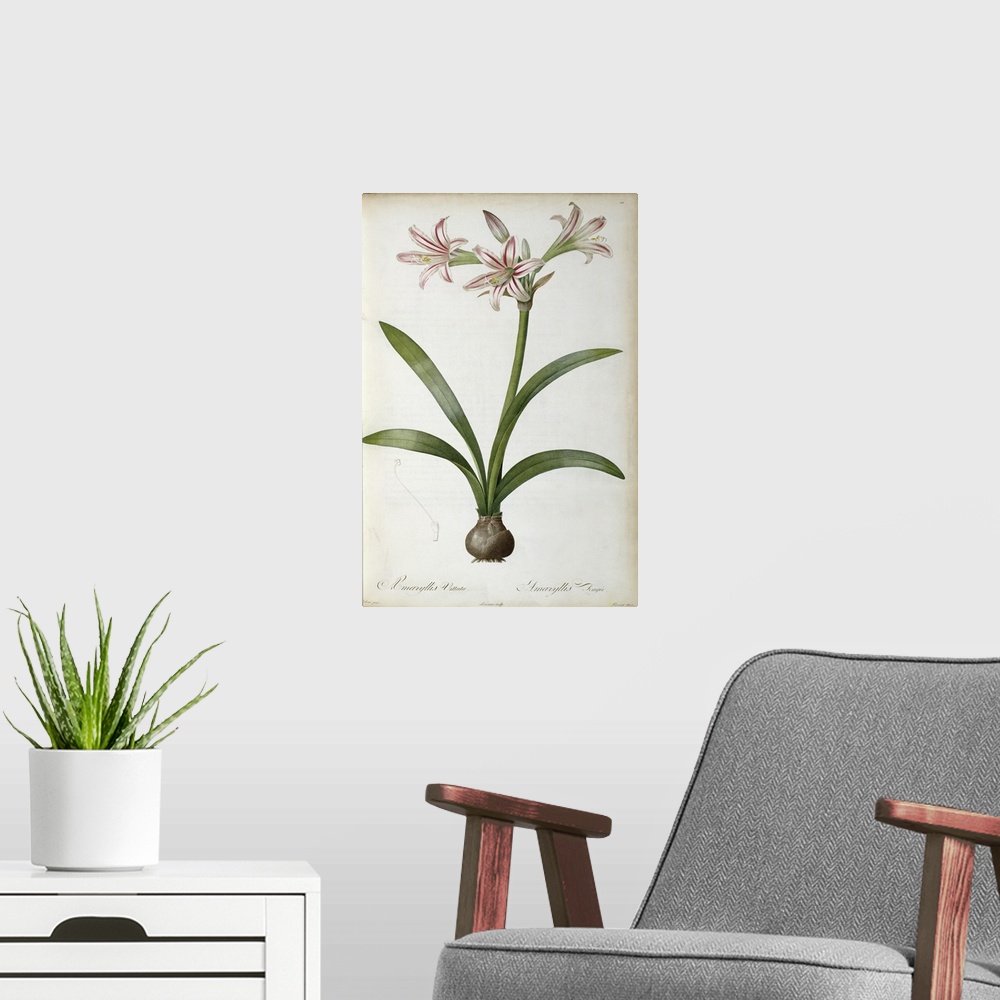 A modern room featuring Giant, vertical floral home art docor of a large lily plant with several open blooms, four large ...