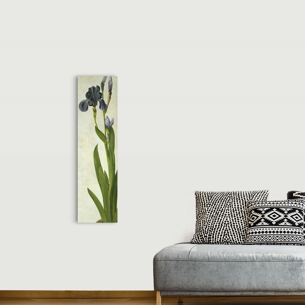 A bohemian room featuring An Iris