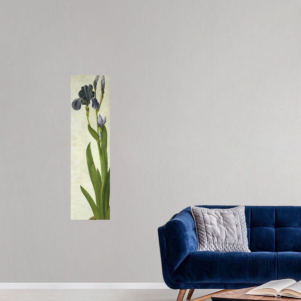 A modern room featuring An Iris