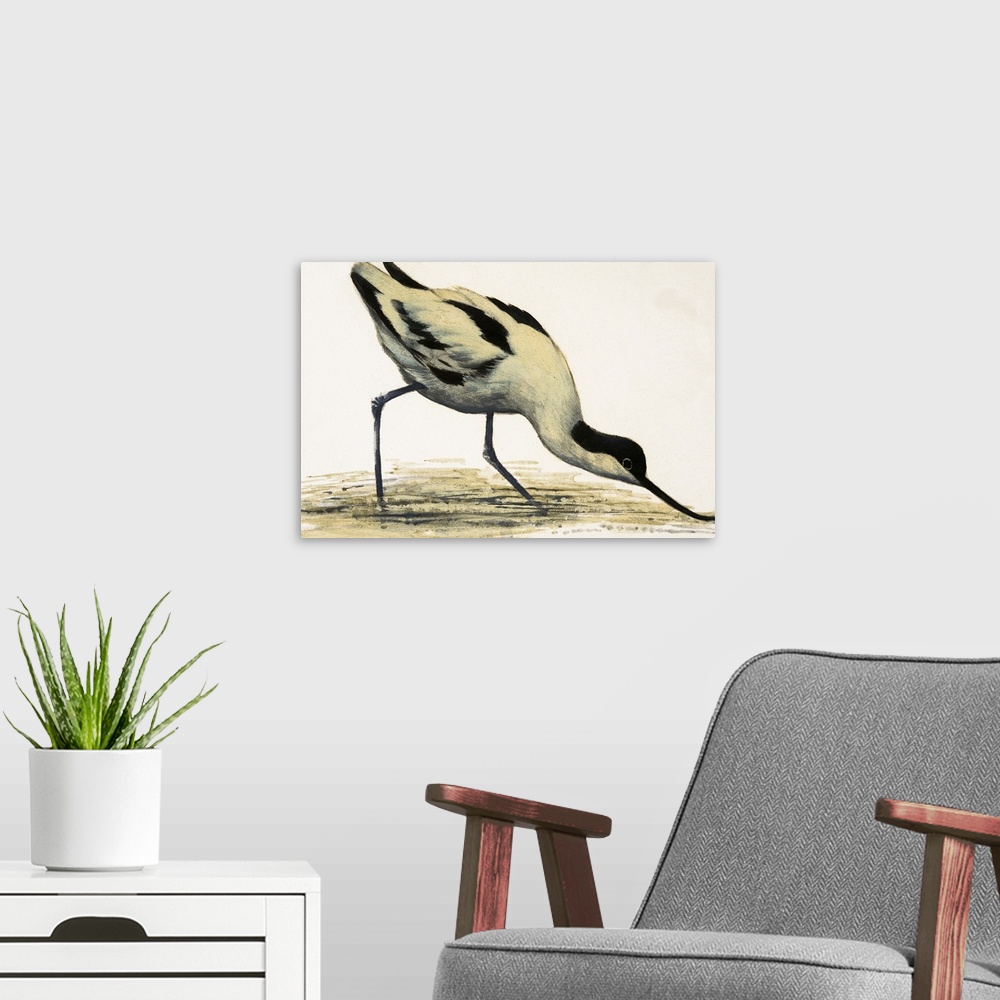 A modern room featuring Avocet