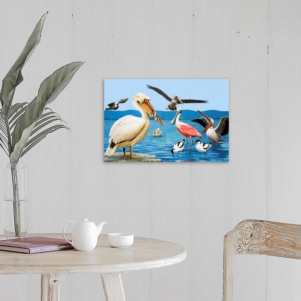A farmhouse room featuring Birds with strange beaks. Pelican, Brown Pelican, Roseate Spoonbill, and Avocet. Original artwork...