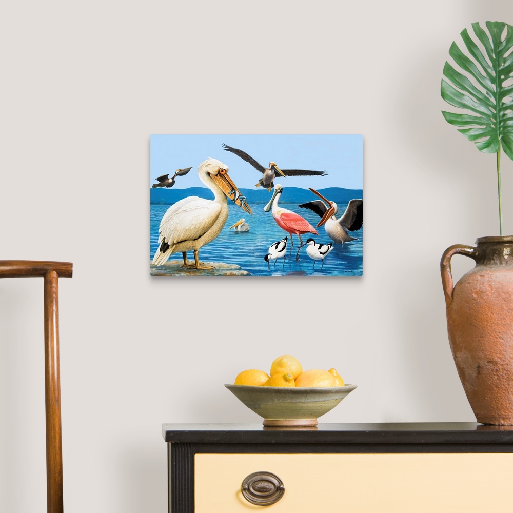 A traditional room featuring Birds with strange beaks. Pelican, Brown Pelican, Roseate Spoonbill, and Avocet. Original artwork...