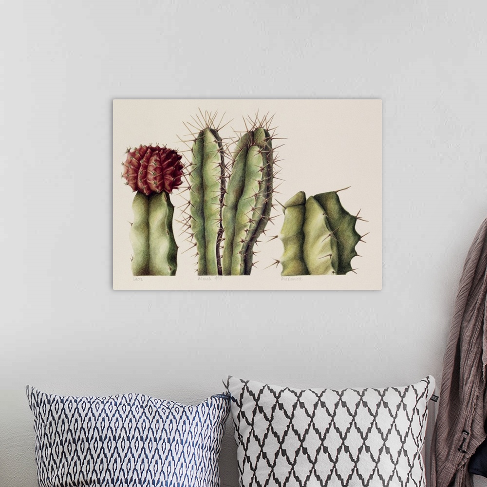 A bohemian room featuring ABA128196 Cacti, 1999 (w/c on paper); by Barrett, Annabel (Contemporary Artist); watercolour on p...