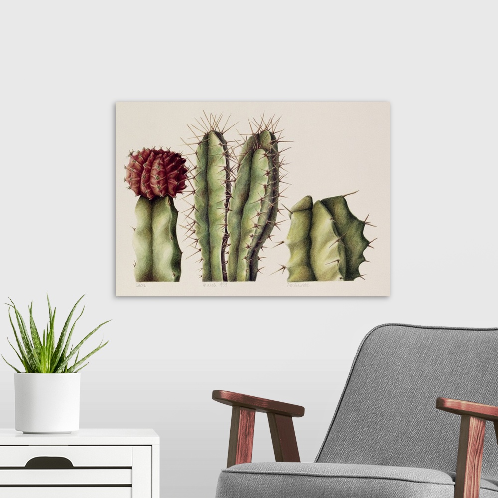 A modern room featuring ABA128196 Cacti, 1999 (w/c on paper); by Barrett, Annabel (Contemporary Artist); watercolour on p...