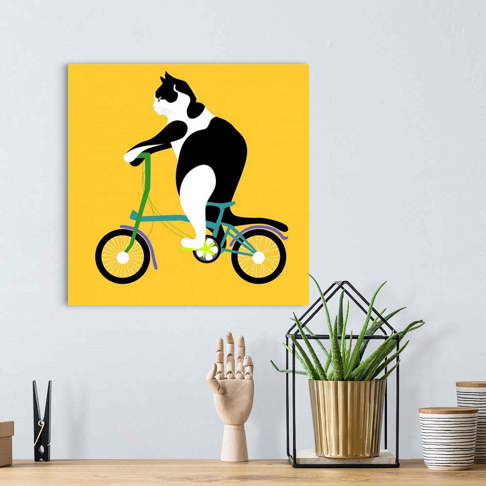 A bohemian room featuring Cat On A Brompton Bike