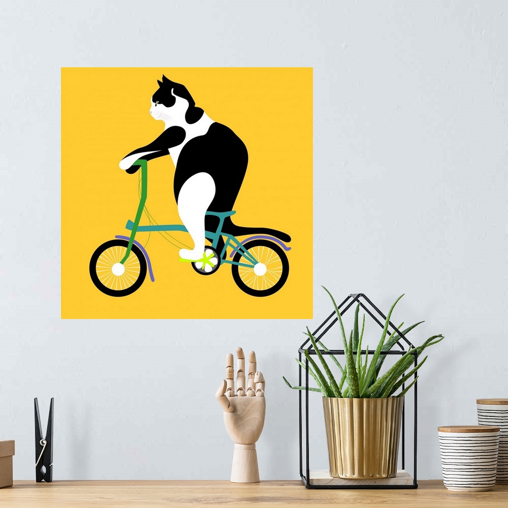 A bohemian room featuring Cat On A Brompton Bike