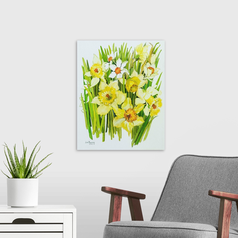 A modern room featuring Daffodils and narcissus