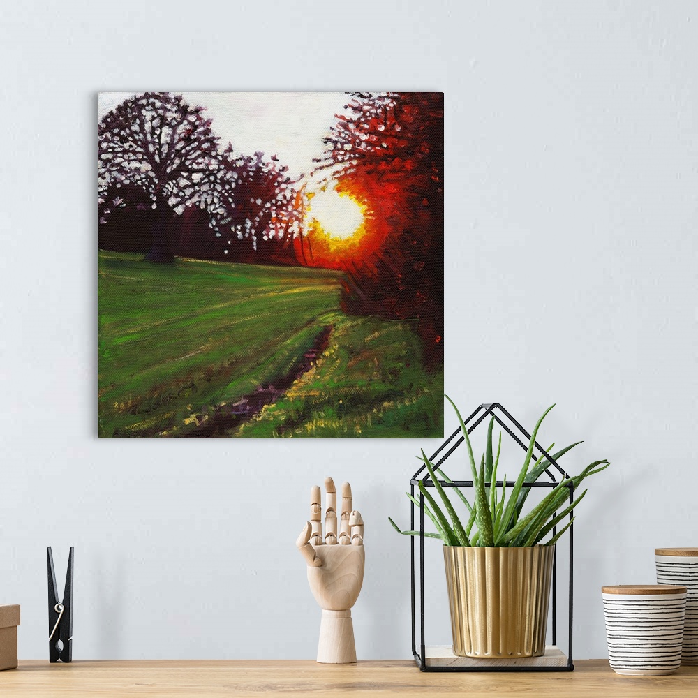 A bohemian room featuring Contemporary painting of a forest clearing in a countryside scene with a setting sun seen through...