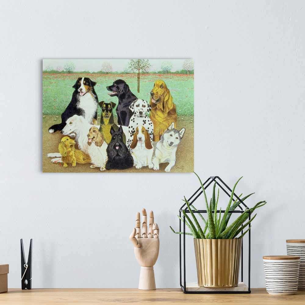 A bohemian room featuring Dog Watch