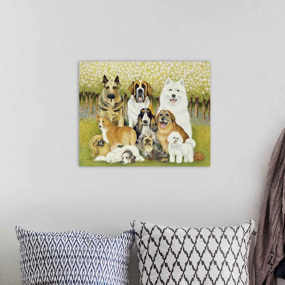 A bohemian room featuring Dogs in May