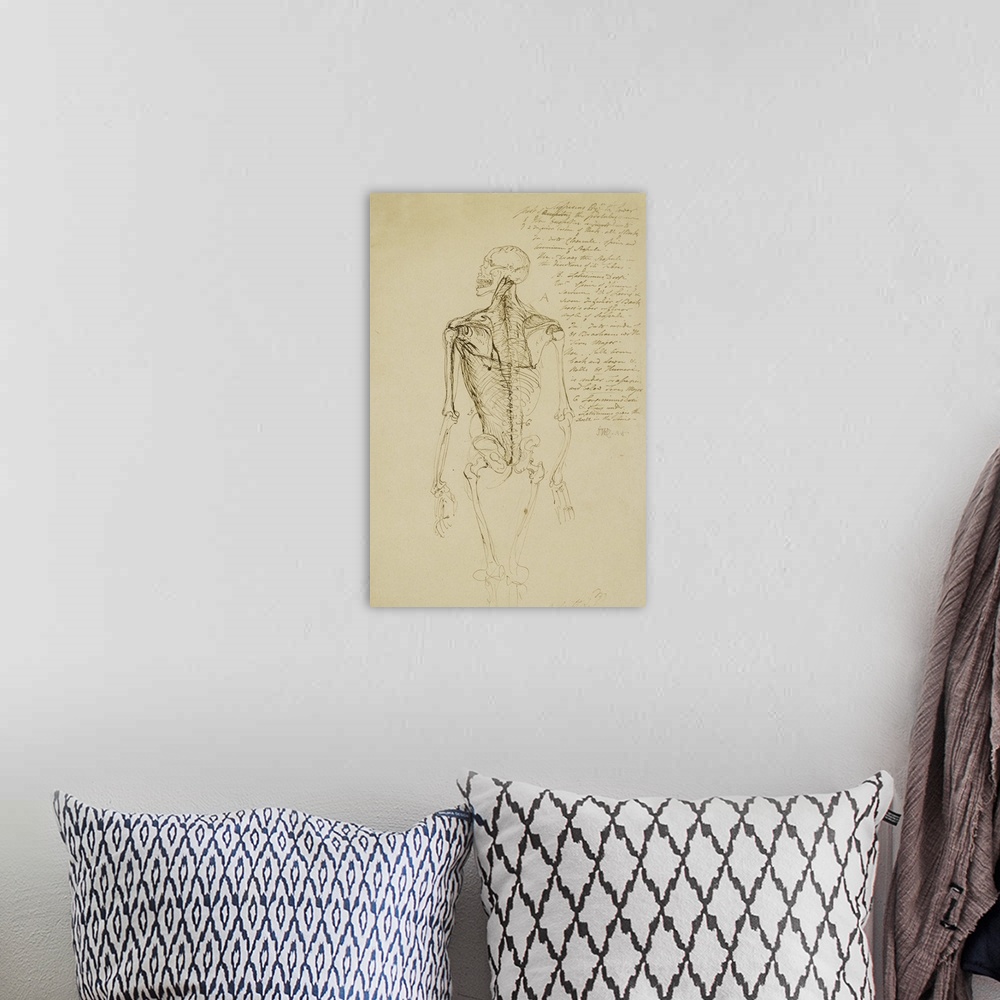 A bohemian room featuring XYC217178 Drawing of a Man's Skeleton (brown pen